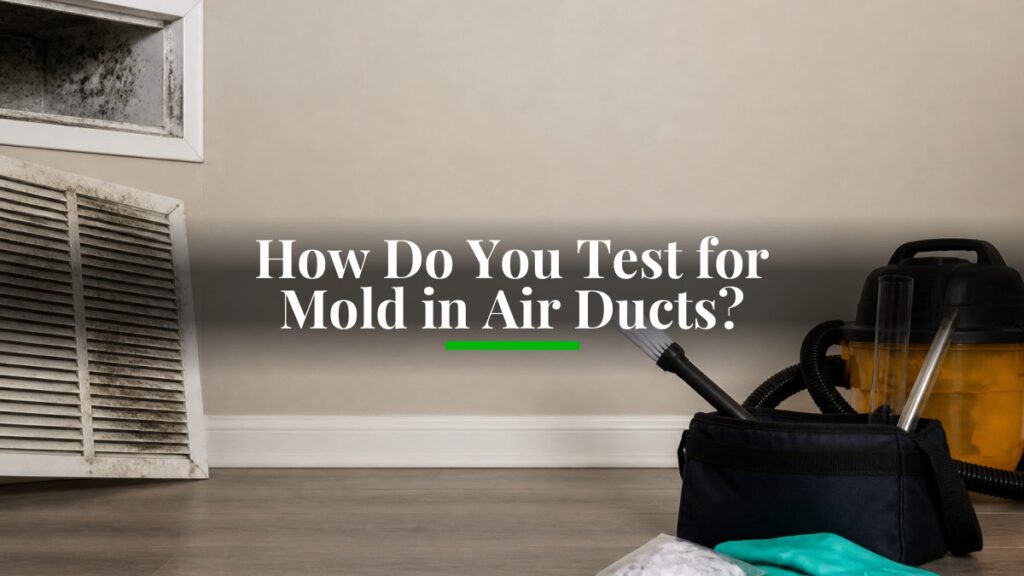 how do you test for mold in air ducts 1792888332