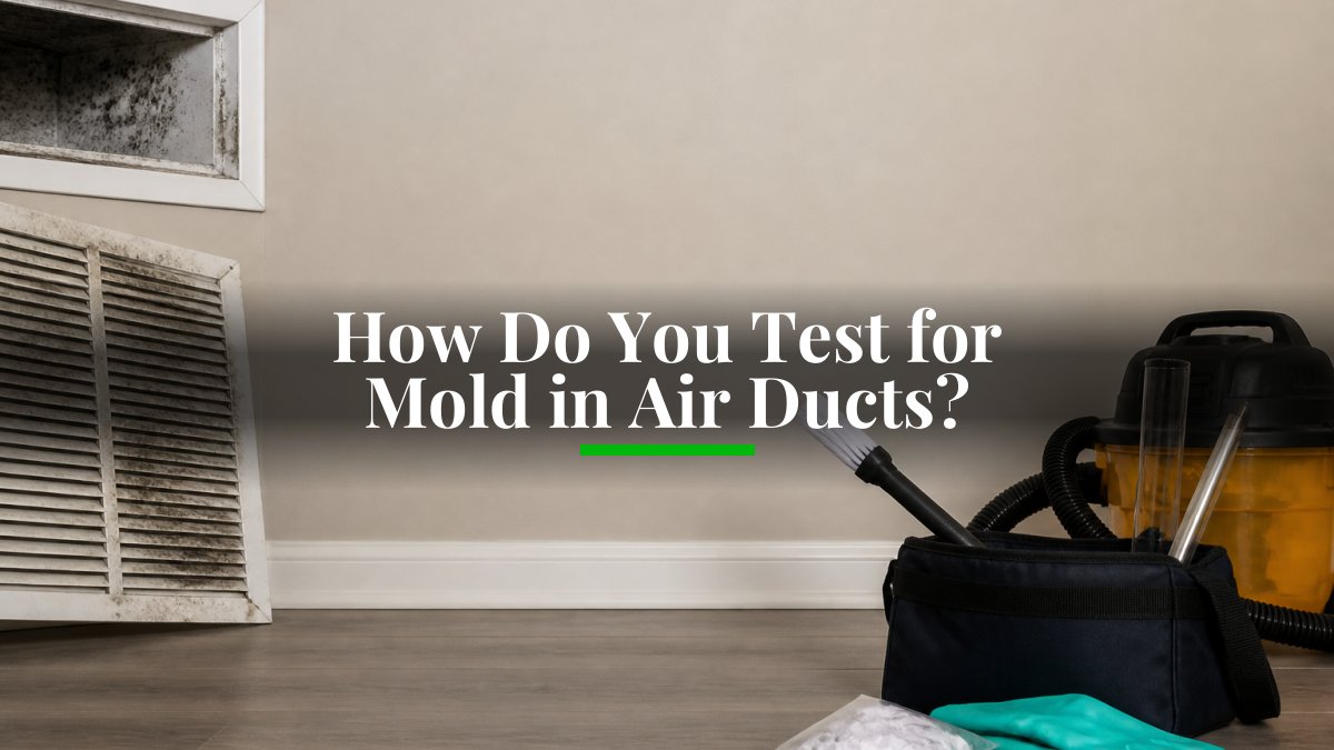 how do you test for mold in air ducts 1792888332